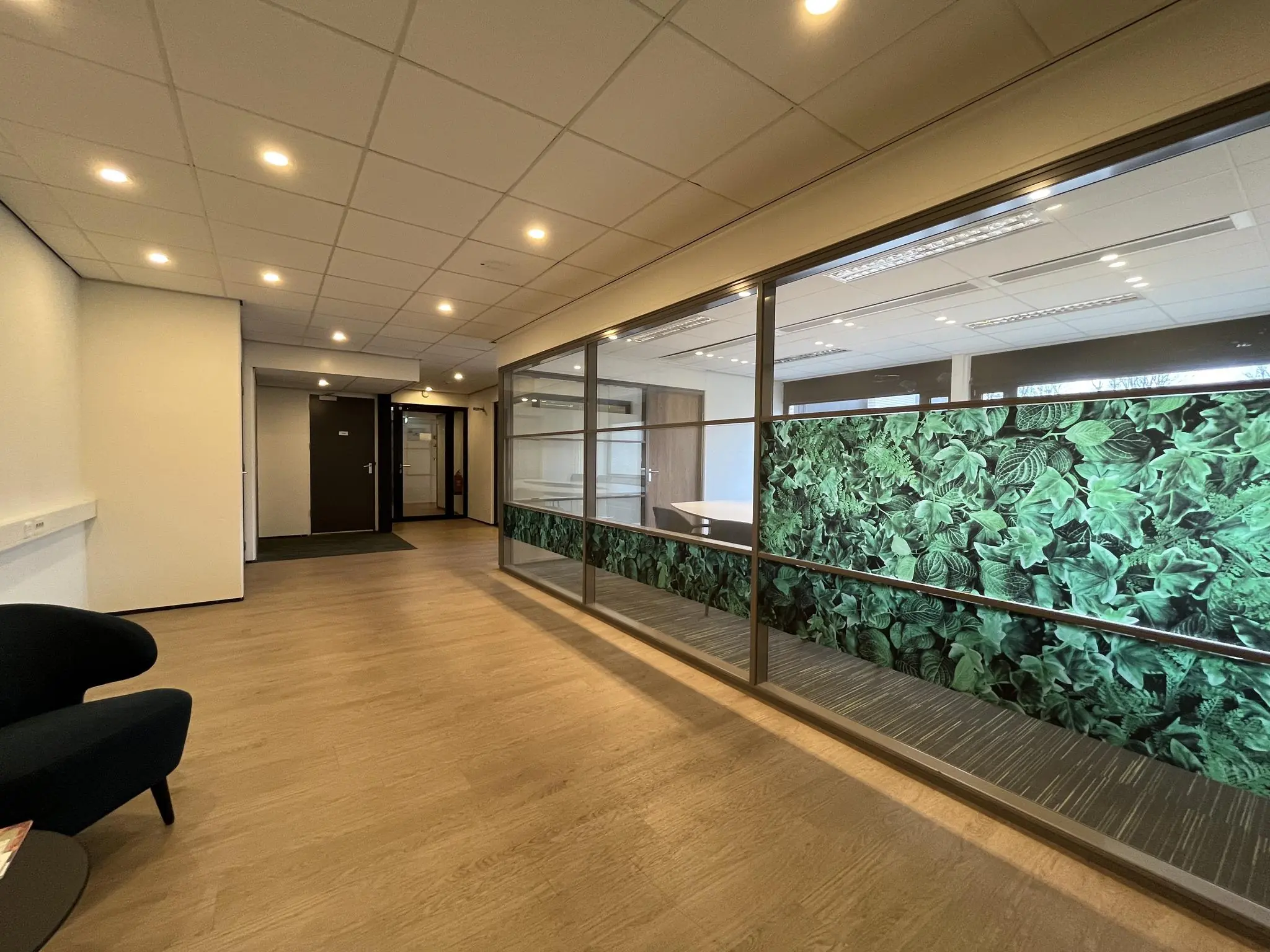 Moderne kantoorhal met houten vloer, glazen wand met groene bladprint en meerdere gesloten deuren.